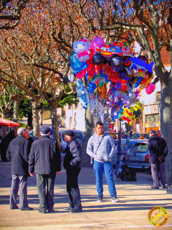 004 IMG 2900 Edit WM