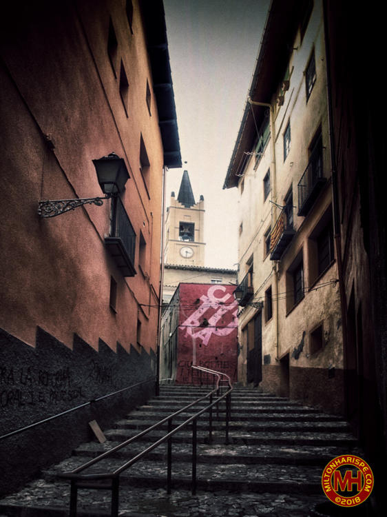 P1224077_ORF-Exp-Edit CEP4+TA5 Vintage.jpg