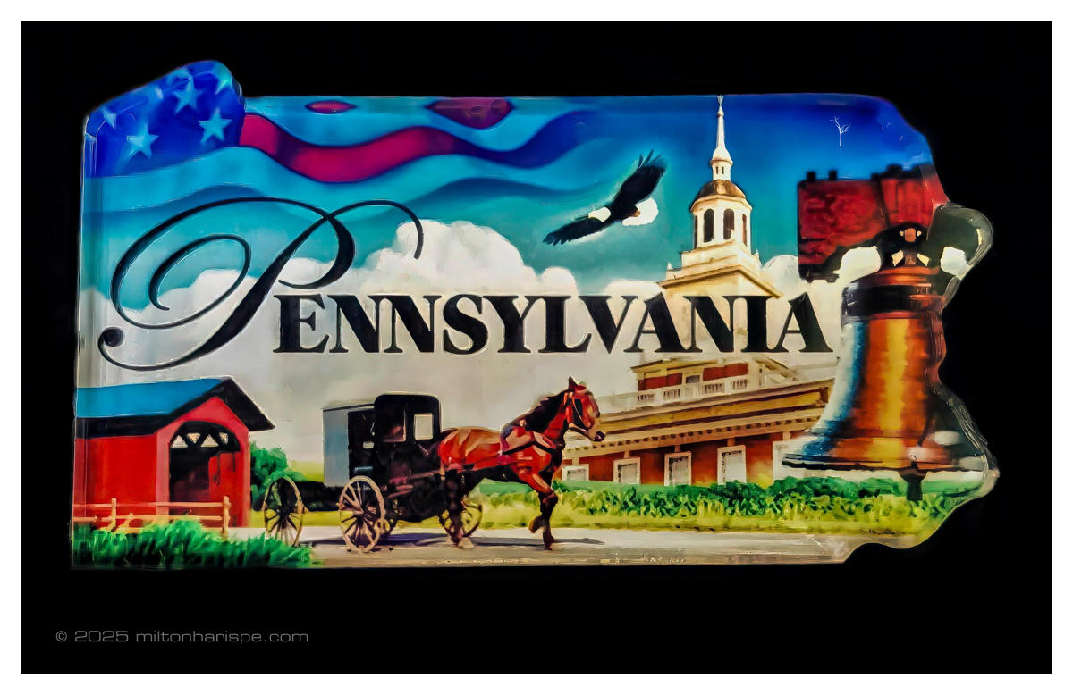 010 20230618 015508 Edit Edit Edit Edit Edit