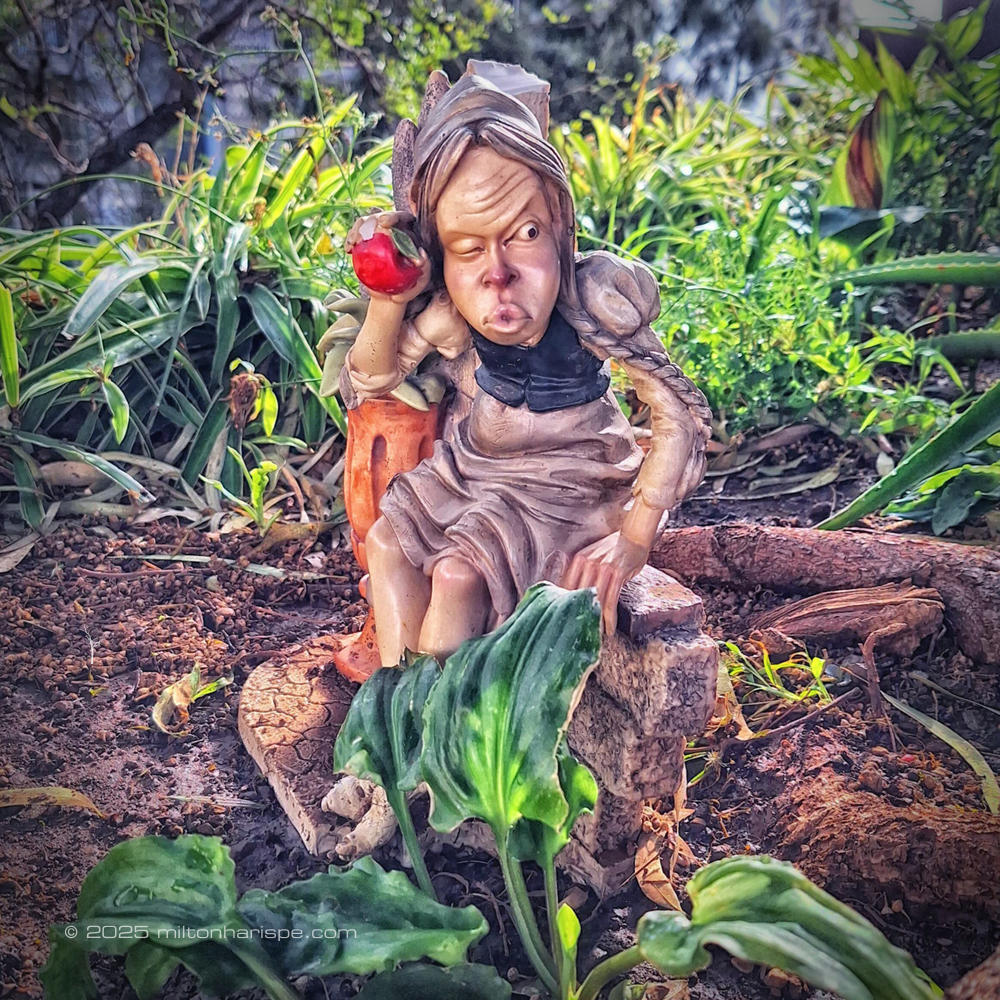 20230808 093044 Edit