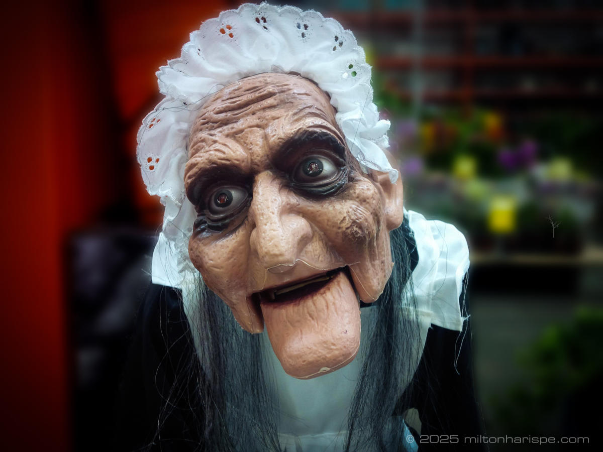 IMG 20150924 161748 Edit