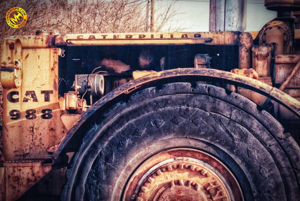 Caterpillar, New Jersey, USA